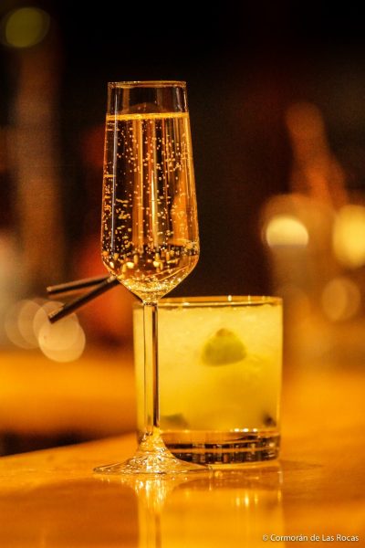 Tragos-cormoran-de-las-rocas-bar (3)